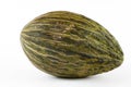 Whole single Piel de sapo melon on white background Royalty Free Stock Photo