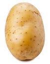 Whole single potato isolated on white background. Royalty Free Stock Photo