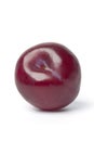 Whole single purple plum