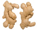 Whole single raw fresh ginger root isolated on white background Royalty Free Stock Photo