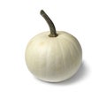 Whole single white Lumina pumpkin Royalty Free Stock Photo