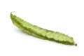 Whole single winged bean