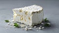 Whole slice of feta cheese with crumbly edges and soft white surface placed flat Royalty Free Stock Photo