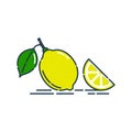 Whole and slice in half lemon fruit isolated on white background. Organic product. Bright summer harvest illustration. Flat style Royalty Free Stock Photo