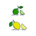 Whole and slice in half lemon and lime fruit isolated on white background. Organic product. Bright summer harvest illustration. Royalty Free Stock Photo