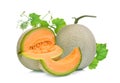 Whole and slice of japanese melons, orange melon or cantaloupe m Royalty Free Stock Photo