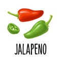 Whole and slice pepper jalapeno. Vector color illustration isolated on white background.