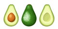 Whole and sliced avocado fruit. Vector illustration.