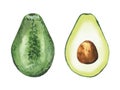 Whole and sliced avocado. Green food. Tropical fruit. Watercolour illustration isolated on white background.