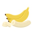 Whole and sliced of banana. Flat vector illustration of yellow banana fruit