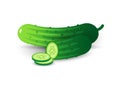 Whole and sliced cucumber vector illustration