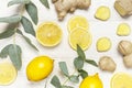Whole and sliced fresh lemon, ginger root, eucalyptus leaves on white wooden background. Flat lay top view copy space. Minimal Royalty Free Stock Photo