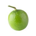 Whole and sliced limes, Sour green fruit isolated on on a white background