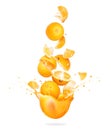 Whole and sliced oranges are falling in splashes of juice on a white background Royalty Free Stock Photo
