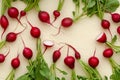 Radishes with leaves.