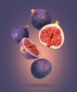 Whole and sliced ripe figs close up in the air on a purple background Royalty Free Stock Photo