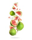 Whole and sliced ripe green figs in the air on a white background Royalty Free Stock Photo