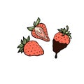 Whole and sliced strawberries hand drawn vector eco food illustration, set of isolated cartoon style fruits Royalty Free Stock Photo