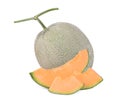 Whole and slices japanese melons, orange melon or cantaloupe