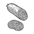 Whole and slices smoked sausage salami. Vintage vector engraving illustration