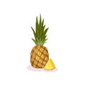 Whole and small slice of ripe pineapple. Exotic fruit. Natural product. Organic food. Detailed flat vector design Royalty Free Stock Photo