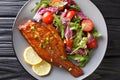 Whole spicy fried sea perch served with fresh vegetable salad close-up in a plate. horizontal top view