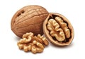 Whole and split walnuts on a white background isolated on white background Royalty Free Stock Photo