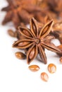 Whole Star Anise isolated on white background Royalty Free Stock Photo