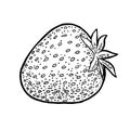 Whole strawberry. Engraving vintage vector black illustration.