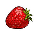 Whole strawberry. Engraving vintage vector color illustration.