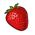 Whole strawberry. Engraving vintage vector color illustration.