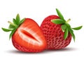 Whole strawberry fruit and sliced segments Realistic vector illustration
