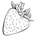 Whole strawberry line art