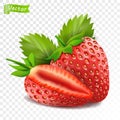 Whole strawberry and sliced half strawberry. Fresh red ripe mellow berry on white background. Realistic 3d isolated vector Royalty Free Stock Photo