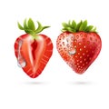 Whole strawberry and sliced half strawberry. Fresh red ripe mellow berry on white background. Realistic 3d isolated vector Royalty Free Stock Photo