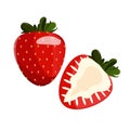 Whole strawberry and sliced half strawberry. Fresh red ripe mellow berry on white background. vector illustration Royalty Free Stock Photo