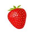 Whole strawberry. Vector color flat illustration