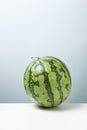 Whole striped watermelon on a white table. Light background, vertical orientation, copy space Royalty Free Stock Photo