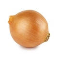 Whole sweet onion bulb in horizontal side view isolated on white background