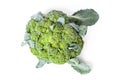 A Whole Swing Of Broccoli Cabbage Inflorescences Of Green Color With Leaves On A White Isolated Background In A Photo Studio.