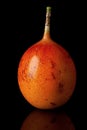 Whole tamarillo vertically with reflection isolated on black