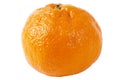 Whole tangerine