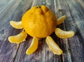 Whole tangerine and slices of peeled citrus around on wooden background. Close up Royalty Free Stock Photo