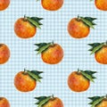 Whole tangerines with leaves painted in watercolor on light blue gingham background. Seamless pattern for packaging, kitchen Royalty Free Stock Photo