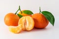 Whole tangerines or mandarines orange fruits and peeled segments Royalty Free Stock Photo