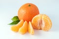 Whole tangerines or mandarines orange fruits