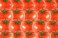 Whole tomato abstract seamless pattern Royalty Free Stock Photo