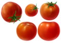 Whole tomatoes illustration