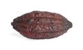 Whole tropical cocoa pod isolated on