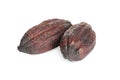 Whole tropical cocoa pods isolated